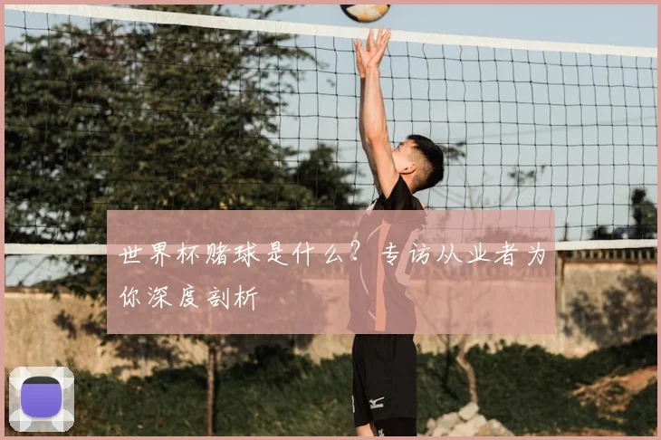 世界杯赌球是什么?专访从业者为你深度剖析