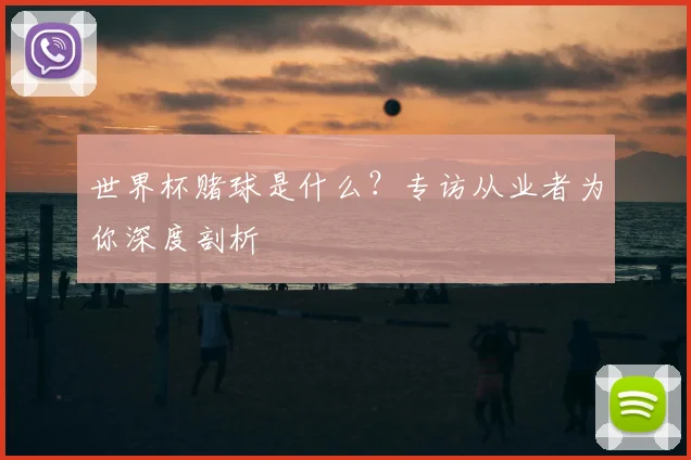 世界杯赌球是什么?专访从业者为你深度剖析