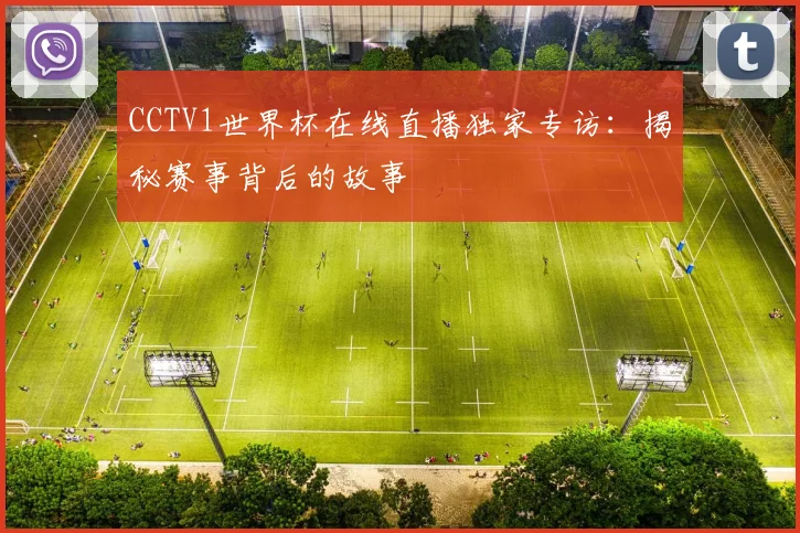 CCTV1世界杯在线直播独家专访：揭秘赛事背后的故事