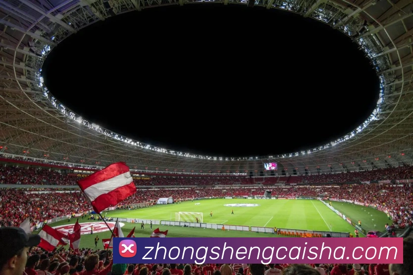 奖项证书